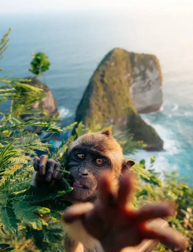 PARADISE ? | When a&hellip;